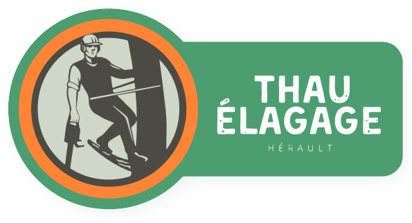 Thau élagage
